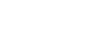 IT Genius
